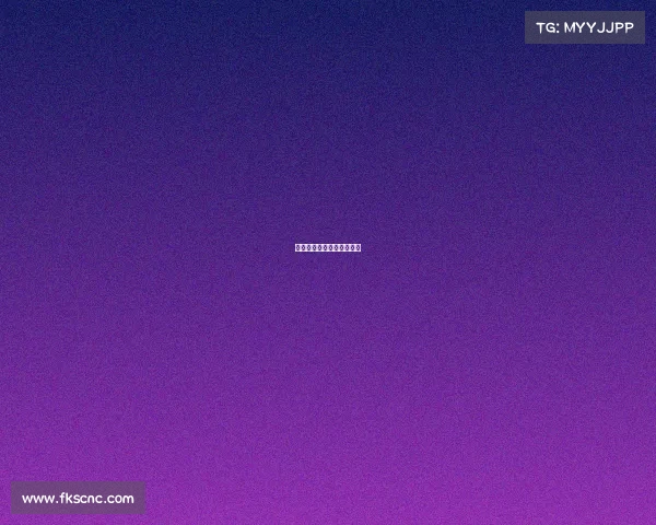 奥迪新赛事、奥迪赛事成绩